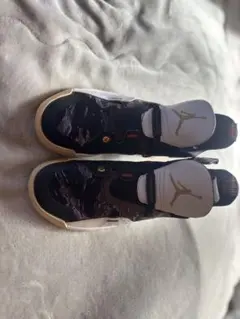 Jordan バスケットボールシューズ