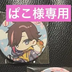 ぱこ様専用ページ