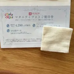 スタジオアリス マタニティフォト優待券のサムネイル