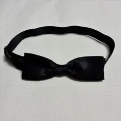 Item thumbnail for item d2e6f873-b74c-4a48-ad54-4fd8778d5142