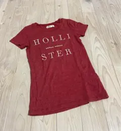 ✨新品未使用✨ホリスター