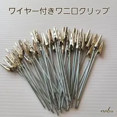 Item thumbnail for item 6e2f9136-0df9-4721-abae-bcaff66caedf