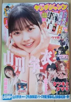 週刊ヤングジャンプ 48号 巻頭グラビア 山川宇衣 - メルカリ