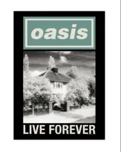 UK限定　オアシス　oasis Live Forever ポスター　完売品
