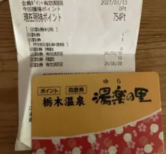 即日匿名配送　栃木温泉湯楽の里入浴券10回分754ポイント付のサムネイル