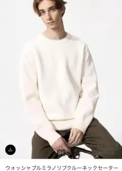 ウォッシャブルミラノリブクルーネックセーター l