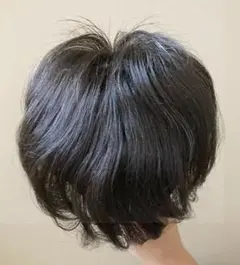 めぐりーな様専用　 ハイネット　トップピース　部分ウィッグ　ブラック