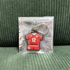 男子バレーボールネーションズリーグユニフォームキーホルダー リベロ