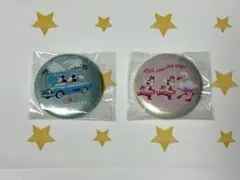 ディズニー サニーサニーサマー 缶バッジ チップとデール シークレット