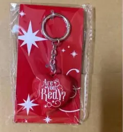 【新品未開封】山田涼介AreYouRed.Y? ロゴキーホルダーキーホルダーのサムネイル