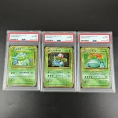 PSA10】フシギダネ フシギソウ フシギバナ Classic CLF 連番 - メルカリ