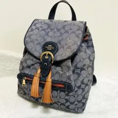 【希少】COACH（コーチ）シグネチャー シャンブレー クリオ バックパック