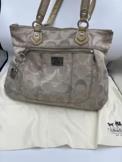 COACH 肩がけハンドバッグ メタリックシルバー ターンロック - メルカリ