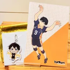 2025年最新】ハイドリ 影山飛雄の人気アイテム - メルカリ