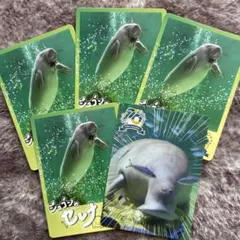 2025年最新】ジュゴン セレナの人気アイテム - メルカリ