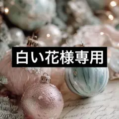 菊苗　緑のサムネイル