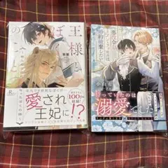 野々乃様　専用