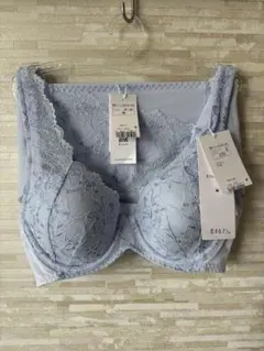 C70&M」トリンプ 恋するブラ612 ブラ&ショーツ ブルー