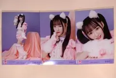 イコラブ 音嶋莉沙 生写真 コンプ 猫衣装