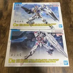 一番くじ ガンプラ 2023 C賞 ＆ D賞 HG セット