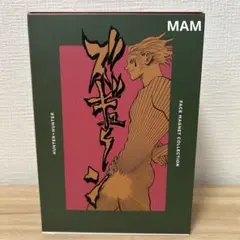 RofJ ハンターハンター フェイスマグネットコレクション BOX特典 ヒソカ