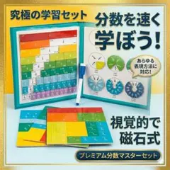 【新品】マグネット式 分数パズル 知育玩具 モンテッソーリ 算数 おもちゃ 木製
