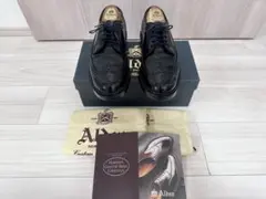 2026年最新】ALDEN 9751の人気アイテム - メルカリ