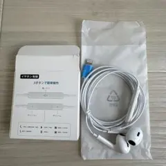 아이폰 라이트닝 이어폰
