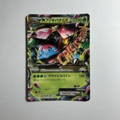 2026年最新】フシギバナEX xyの人気アイテム - メルカリ