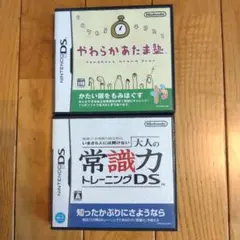 「起動確認済」やわらかあたま塾 & 大人の常識力トレーニングDSソフト　2セット