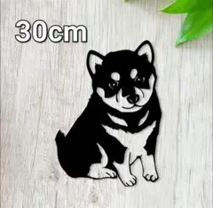 Item thumbnail for item 6a928a72-53f5-44b6-83a5-382139e8cdd8