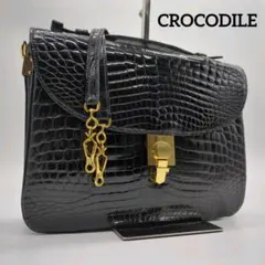 【入手困難・美品】シャイニングクロコダイル ハンドバッグ ゴールド金具 ブラック