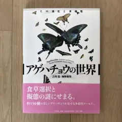 外国産蝶標本【極稀産地】アオメガネトリバネアゲハ♂★ラボンガイ島産★美麗貴重 外国産蝶標本【極稀産地】アオメガネトリバネアゲハ♂☆ラボンガイ島産