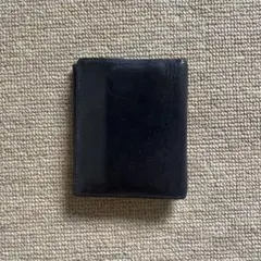 lemma マリスコ