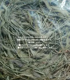 Item thumbnail for item 5e28939a-fa6d-4015-b15c-bfddb2aea25e