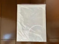 Item thumbnail for item 0b8b1df3-7883-49e5-ac00-d5e6b66c894e