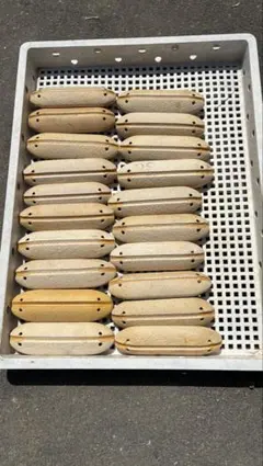 漁具 アバ フロート 刺し網 100個 - メルカリ