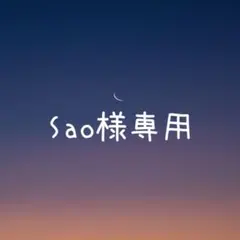 Sao様 リクエスト 2点 まとめ商品