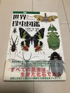 トシミ様 リクエスト 2点 まとめ商品