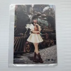 Item thumbnail for item 3950affa-51d1-4ef6-8cf2-783b83cec064