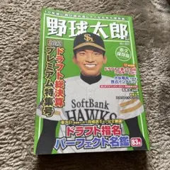 野球太郎 2012 no.002 大谷翔平 独占インタビュー 野球太郎 No.002 (2012ドラフト総決算) 大谷翔平独占インタビュー
