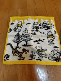 ディズニーリゾートウォッシュタオル2枚セット
