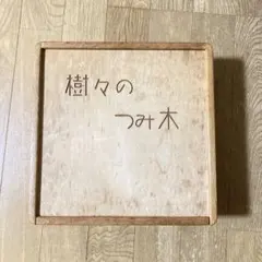 木製 積み木セット 収納箱付き 知育玩具