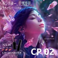 ぴこた様 リクエスト 2点 まとめ商品