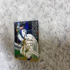 Item thumbnail for item 987781c5-0a0c-42f0-a639-50f48e610a7e