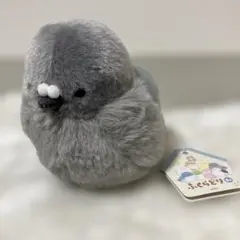 2026年最新】童心ぬいぐるみドバトの人気アイテム - メルカリ
