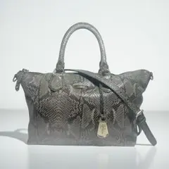 cole haan 2way shoulder bag A4 パイソン型押し