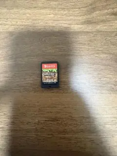 Minecraft Nintendo Switch ソフトのみ