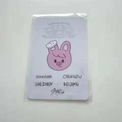Stray Kids チャンビン　中華 ポップアップ トレカ　skzoo