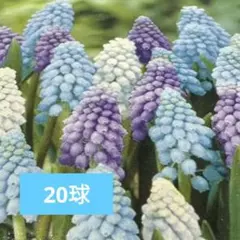 ゆう様 リクエスト 3点 まとめ商品